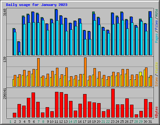 Daily usage for January 2023