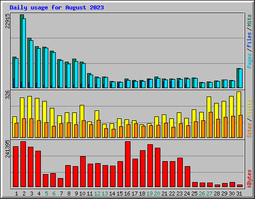 Daily usage for August 2023