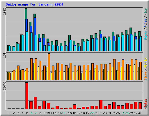 Daily usage for January 2024