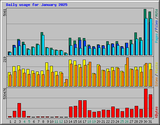 Daily usage for January 2025