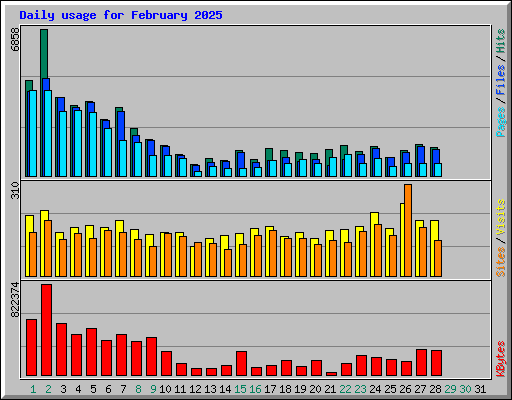 Daily usage for February 2025