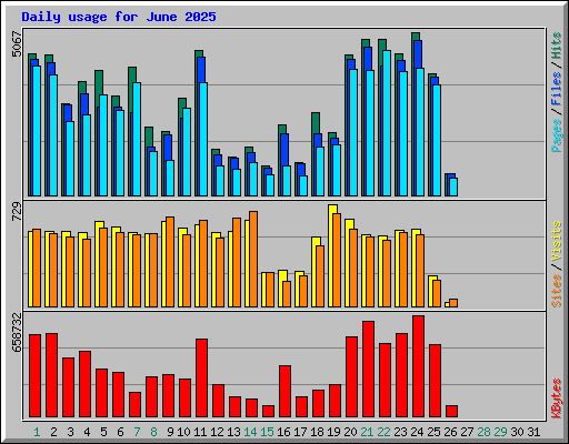 Daily usage for June 2025