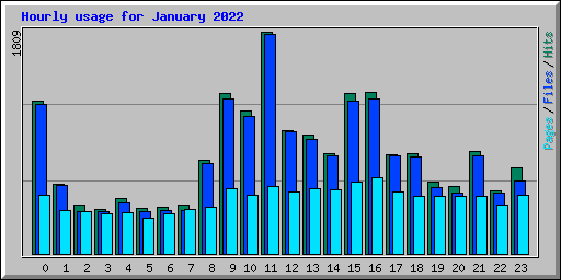 Hourly usage for January 2022