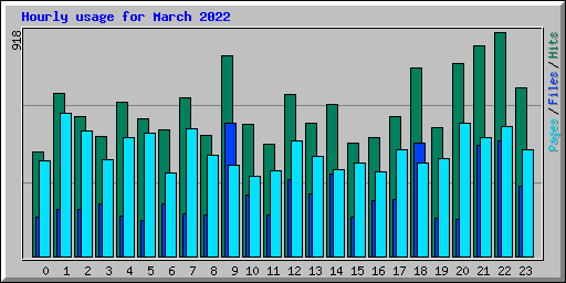 Hourly usage for March 2022