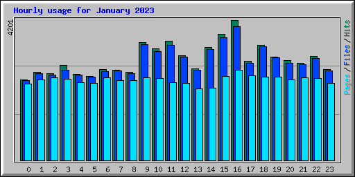 Hourly usage for January 2023