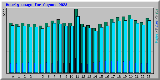 Hourly usage for August 2023
