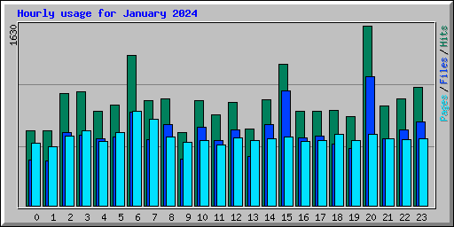 Hourly usage for January 2024