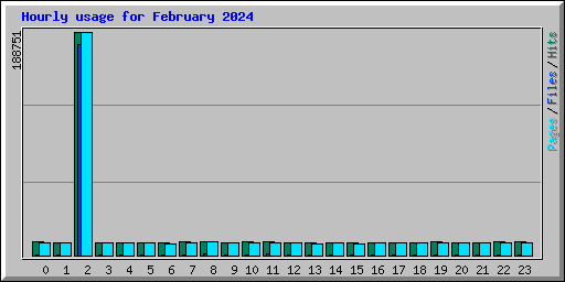 Hourly usage for February 2024