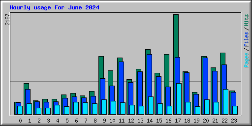 Hourly usage for June 2024