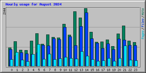 Hourly usage for August 2024