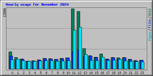 Hourly usage for November 2024