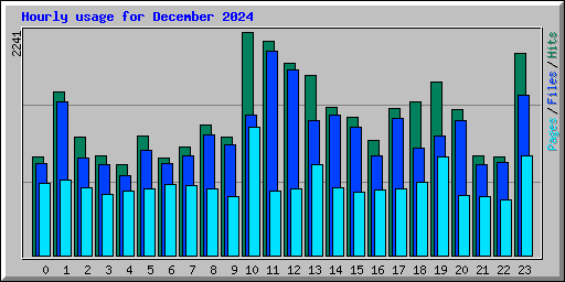 Hourly usage for December 2024