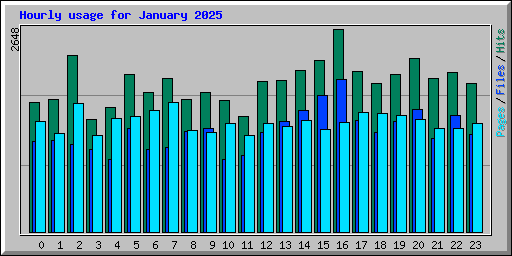 Hourly usage for January 2025