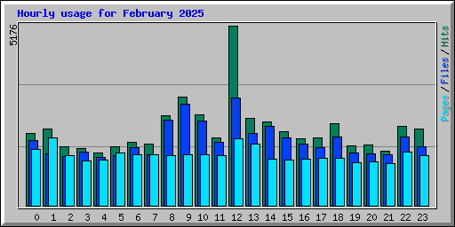Hourly usage for February 2025