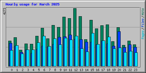 Hourly usage for March 2025