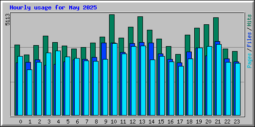 Hourly usage for May 2025