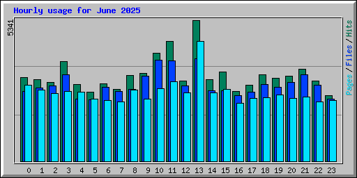 Hourly usage for June 2025